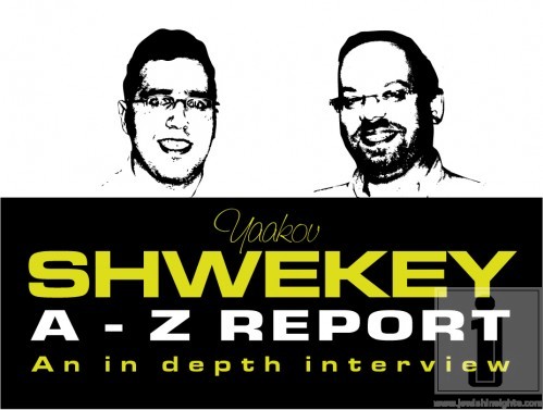 Shwekey-Panel-1 Shwekey-Panel-1