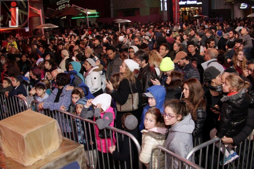 סטנלי צילום (8147)