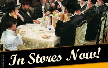 Now in Stores! Shabbos With the Werdygers 2