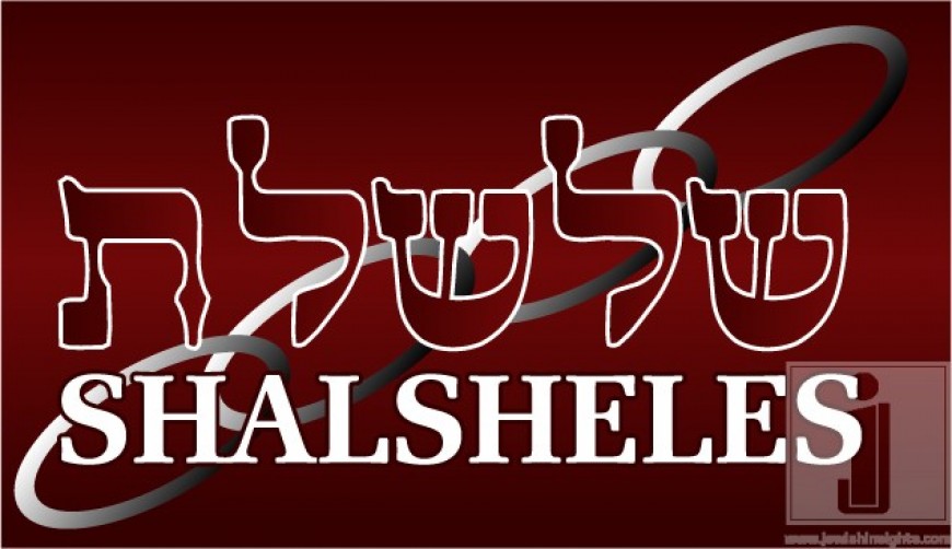 Shalsheles & Shalsheles Junior Updates!