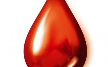 Crown Heights Blood Drive Today!