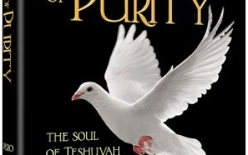 A TOUCH OF PURITY: The Soul of Teshuvah Through Stories and Reflections