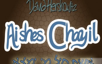 DAVID HERSKOWITZ RELEASES SINGLE TITLED AISHES CHAYIL