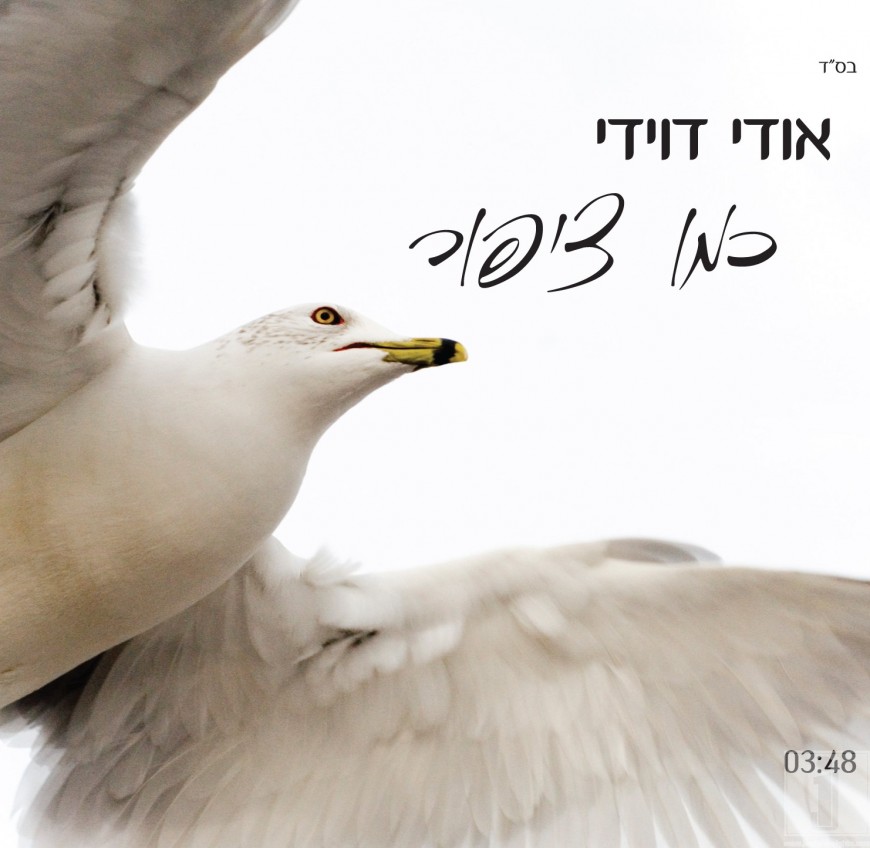 Udi Davidi – Kemo Tzipor