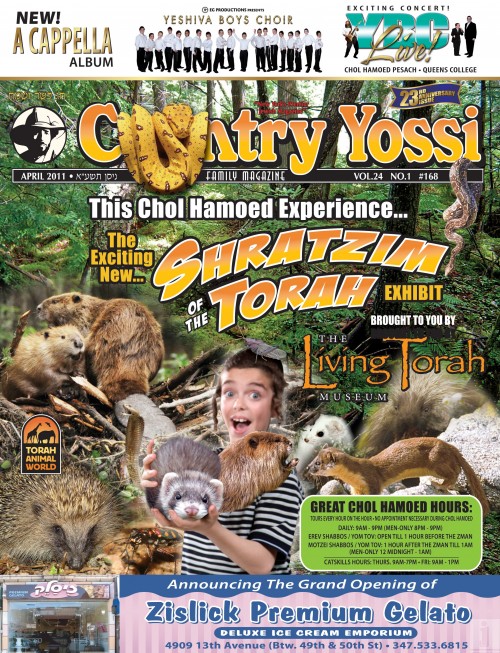 CY COVER 168 FINAL CY COVER 168 FINAL