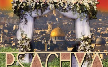 PSACHYA – SHATTERED GLASS