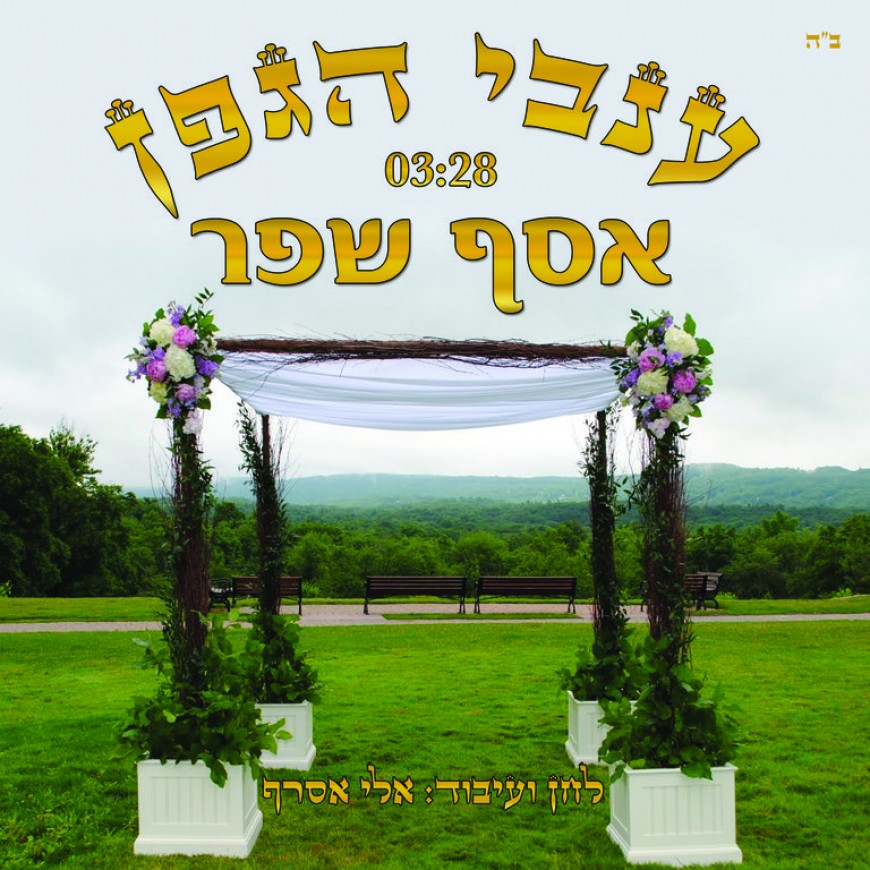 “Invey Hagefen” Asaf Shafar’s New Single Dedicated to His Kallah on His Wedding Day