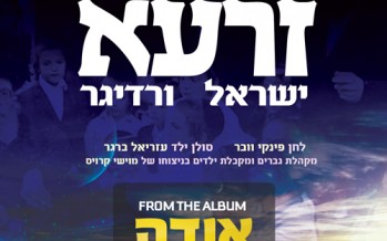Yisroel Werdyger – Zaroh – Vocal Only Special For Seifrah