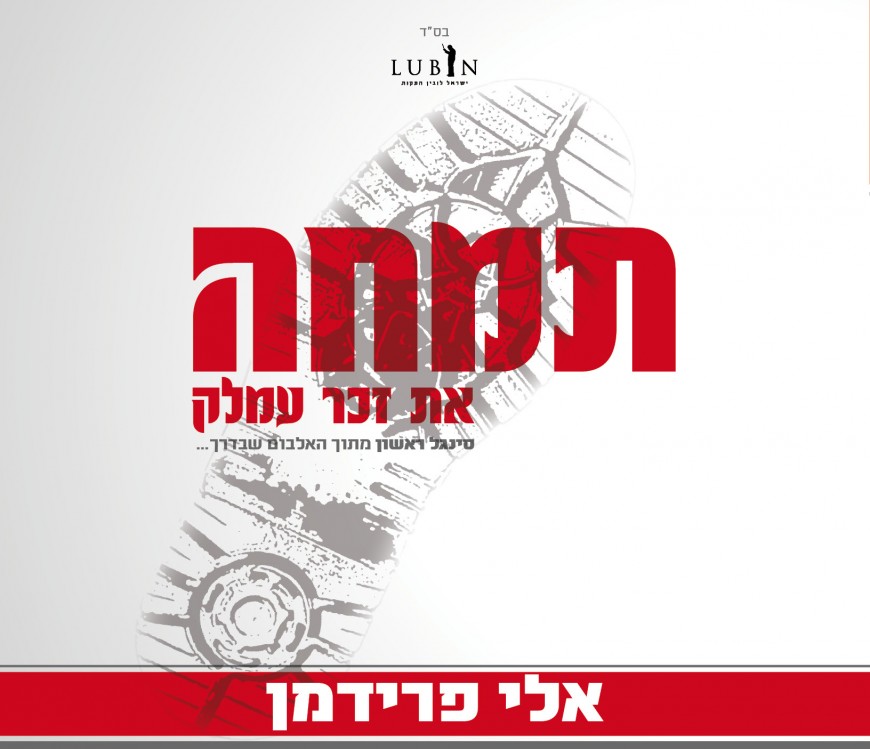 Eli Friedman Returns With A New Single Special For Chodesh Adar: “Timche!”