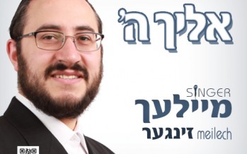 Meilech Singer Releases His Debut Single “Eilecho Hashem”