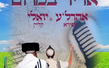 Adir Bamorom:  Aharaleh Shapiro & Yoel Klein