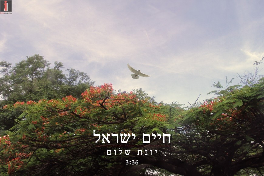 Chaim Israel – Yonat Shalom
