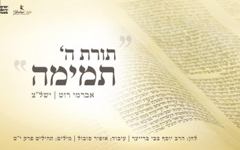 Special For Simchas Torah: “Toras Hashem Temima” Avremi Roth & Yeshivat Mercaz Harav