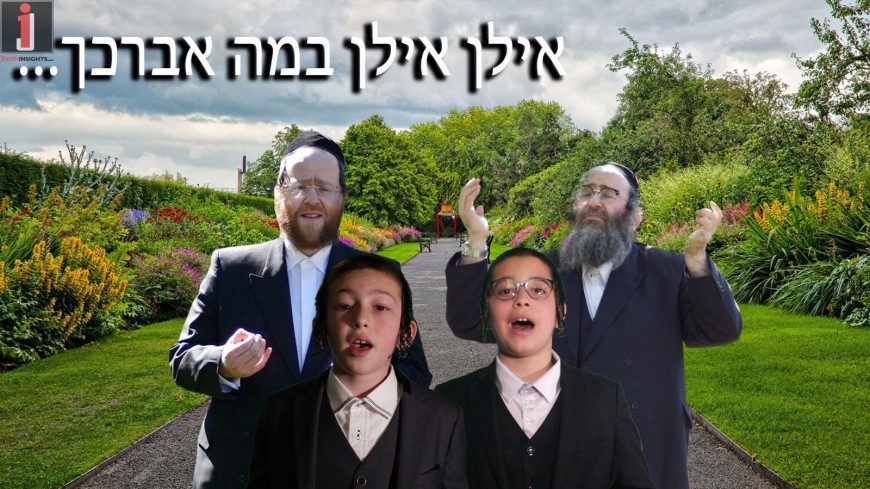 Chaim Meir Fligman Presents: “אילן” ft. Achim Fligman, Shulem Saal, Moshe Glick