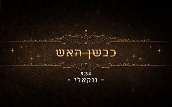 Singer Avremy Goldstein Releases “Kivshan Ha’Eish” Vocal Version
