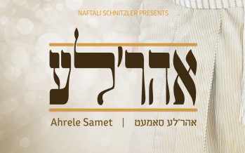 The Summer Is Here & With It Comes The Hottest Project In The Past Decade: Ahreleh!