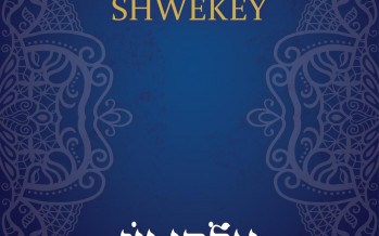 Yaakov Shwekey – ELOKAI OZ