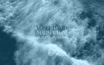 Yosef David – Mayim Rabim (Raging Waters) [Audio]