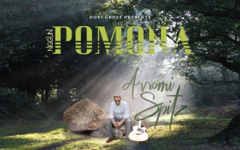 Avromi Spitz – Niggun Pomona