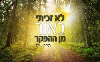 Micha Shaked In A Israeli Piyut: Lo Zachiti b’Or Min Ha’Hefker