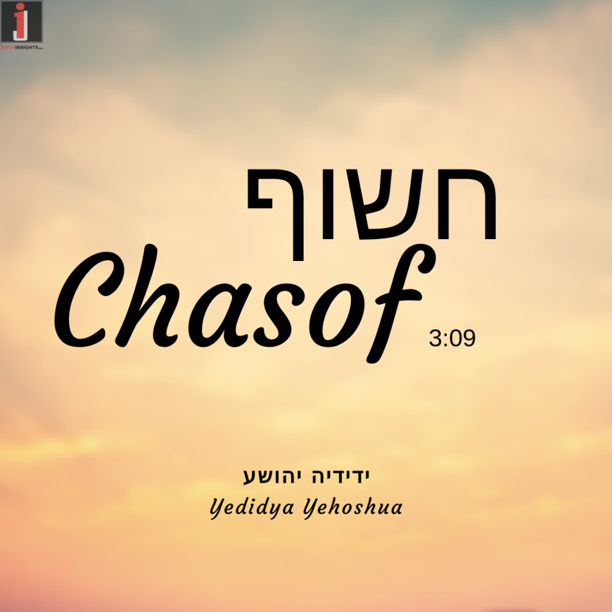 Yedidya Yehoshua – Chasoif