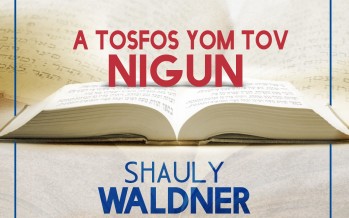 Shauly Waldner: The Tosfos Yom Tov Nigun – New Single