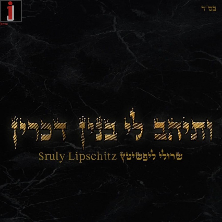 Sruly Lipschitz Releases New Single “Vesaihav Li”