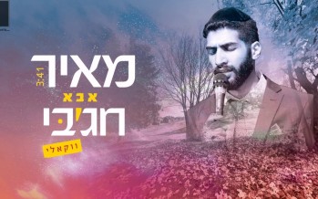 Meir Chajabi Presents: Abba Vocal Edition