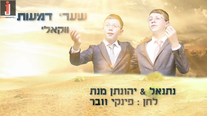 Netanel & Yonatan Menat – Shaarei Demaos [Acapella]