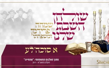 “A Sukkeleh” By Simche Friedman & Family