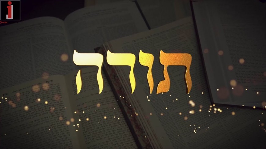 Shloime Dachs – Torah [Official Video]