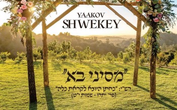 Yaakov Shwekey “M’Sinai Ba” A New Single In Honor of His Daughter Marriage