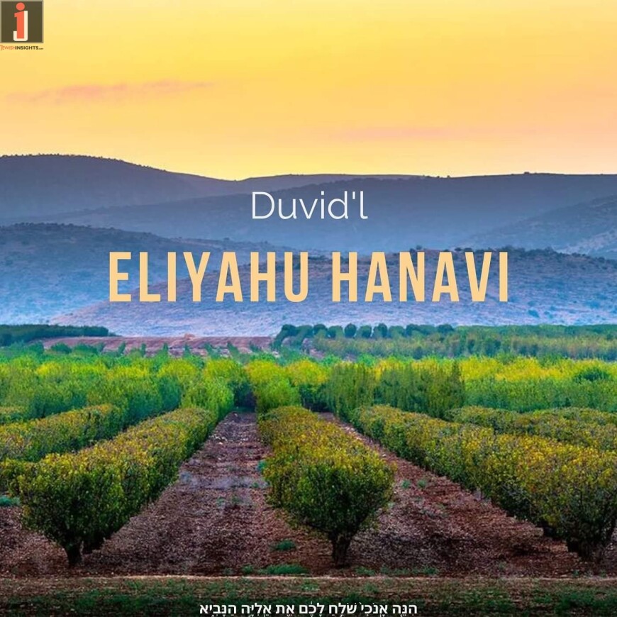 Duvid’l – ELIYAHU HANAVI