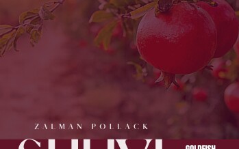 SHUVI – Zalman Pollack