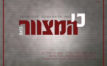 Meir Elias – Ki Hamitzvah Hazot