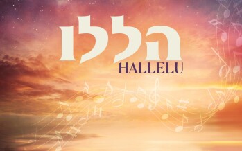 “HALLELU” Composed By Rabbi Yosi Lowenbraun Featuring Yosef Kugler & Moishe Lowenbraun