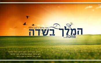 Meir Elias & Yaakov Brown – HaMelech BaSodeh
