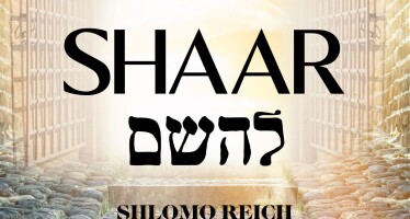 TYH Nation Presents: Shaar L’Hashem – Shlomo Reich