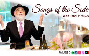 Songs of the Seder! 23 of the Most Popular Songs of Pesach with Rabbi Ruvi New