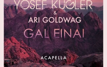 Yosef Kugler & Ari Goldwag – Gal Einai (Acapella Version)