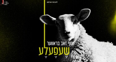 Yosef Zev Braver With A New Single: “Shefele”