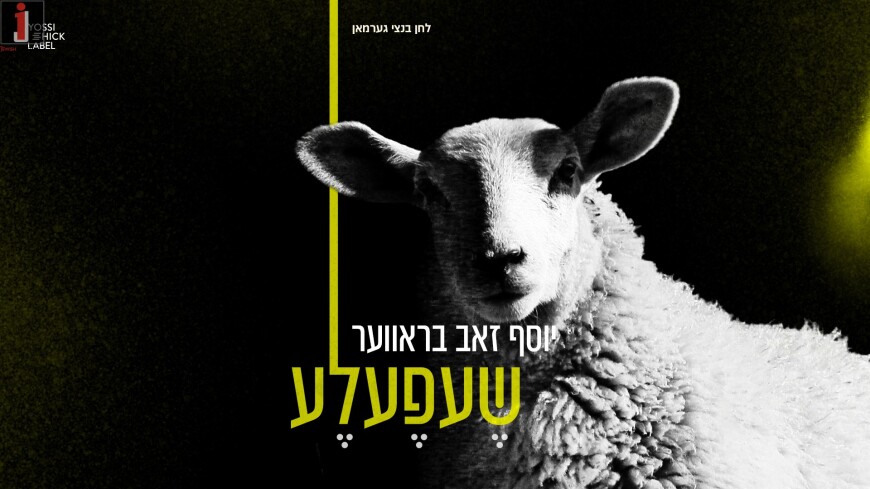 Yosef Zev Braver With A New Single: “Shefele”