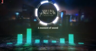 Srulik Mendelson – A Moment of Sound