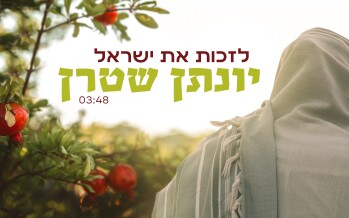 Yonatan Stern With A New Original Song “Lizkot Et Yisrael”