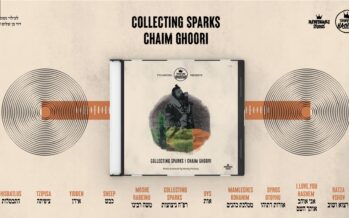 TYH Nation Presents: COLLECTING SPARKS Chaim Ghoori