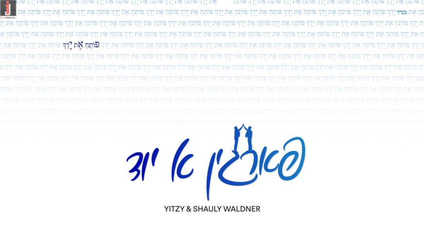 Yitzy & Shauly Waldner – Fargin Ah Yid