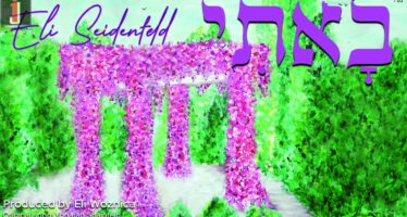 Eli Seidenfeld Is Back With Another Powerful Cover “Baasi”