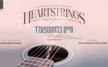 Vocal Heartstrings Album From Chaim Blumenfeld feat. Shir V’Shevach Boys Choir
