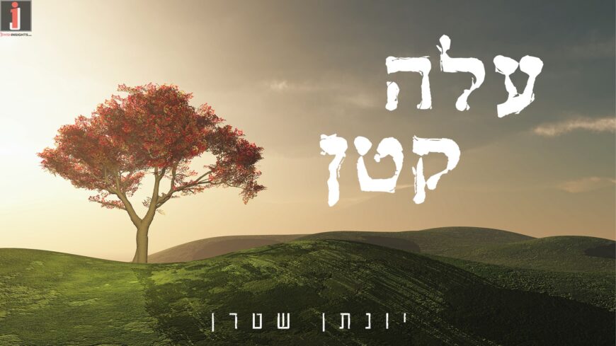 “Aleh Katan” Vocal Version By Yonatan Stern