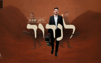 Finally, A Debut Album From Zalman Stub